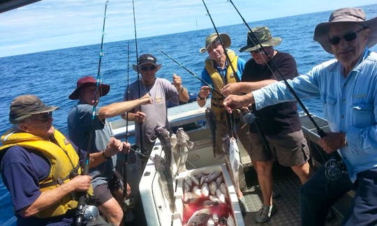 Enjoy Fishing in Hawera, Taranaki on 25' Cuddy Cabin