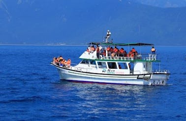 Unforgettable Dolphin Tour in Hualien City, Taiwan