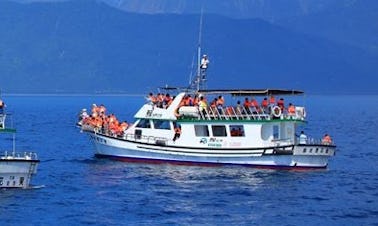 Dolphin Tour in Hualien City