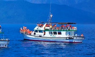 Dolphin Tour in Hualien City