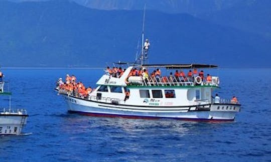 Dolphin Tour in Hualien City