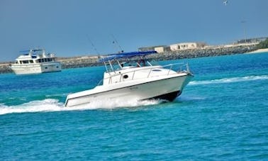 ドバイでの釣りアクティビティ