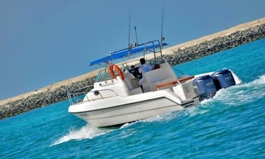 Fishing Activity in Dubai