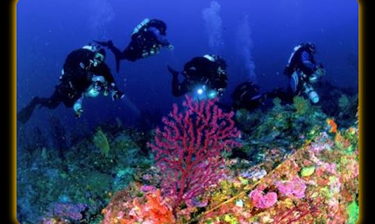 Diving Trips and Courses in Ischia, Campania