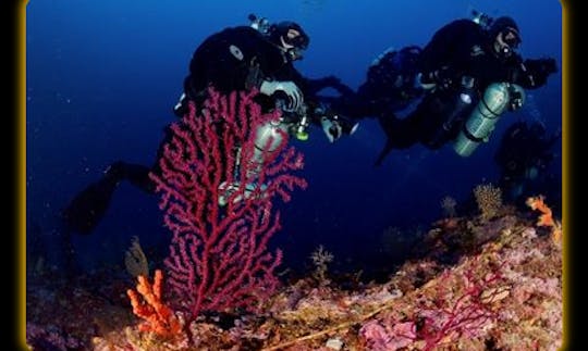 Diving Trips and Courses in Ischia, Campania