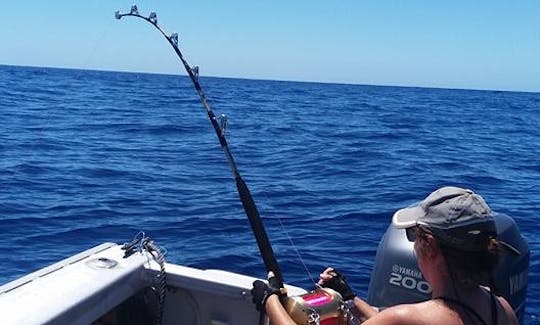 Enjoy Fishing in Tutukaka, Northland on Cuddy Cabin