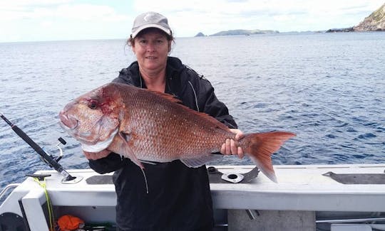 Enjoy Fishing in Tutukaka, Northland on Cuddy Cabin