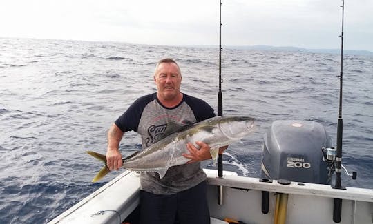 Enjoy Fishing in Tutukaka, Northland on Cuddy Cabin