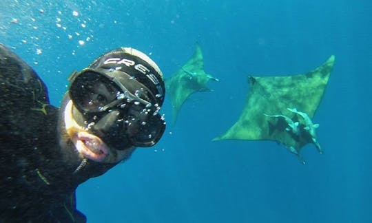 Disfruta de viajes de buceo en Velas, Portugal