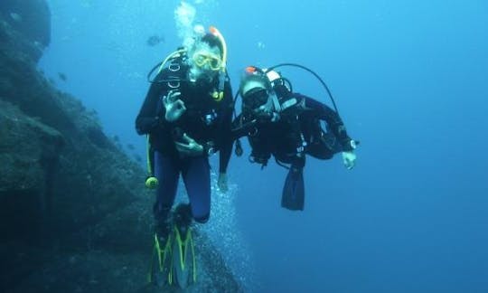 Disfruta de viajes de buceo en Velas, Portugal