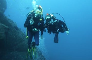 Enjoy Diving Trips in Velas, Portugal