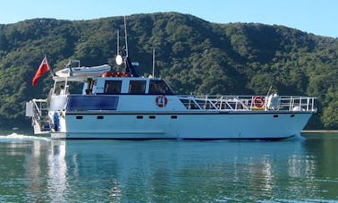 Charter 60' Foxy Lady Motor Vessel in Havelock, New Zealand
