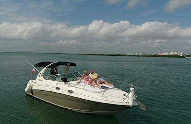 Charter the 33' Searay Motor Yacht in Cancún, Quintana Roo