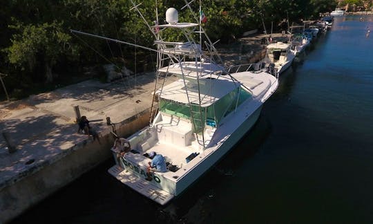Cabo 44ft boat at Cozumel Puerto Aventuras
