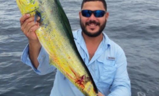 Mahi mahi