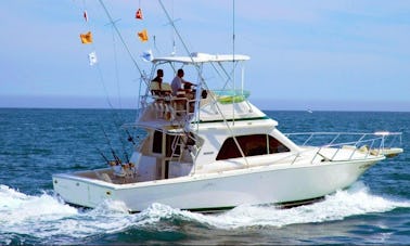 ''Bucaner'' Bertram Sport Fishing Yacht Charter in Can Picafort, Spain