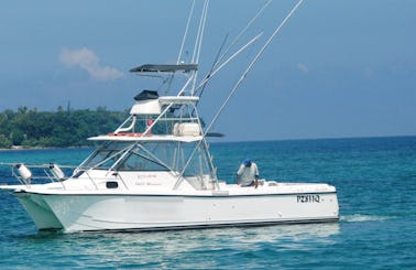 Game Fishing in Vanuatu with our 34ft Blackwatch Fishing Boat