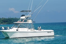 Game Fishing in Vanuatu with our 34ft Blackwatch Fishing Boat
