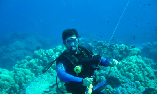 Enjoy Diving Trips and Courses in Tambon Rawai, Phuket