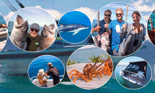 Book A Fishing Charter In Kaikoura, New Zealand With Captain Tomo