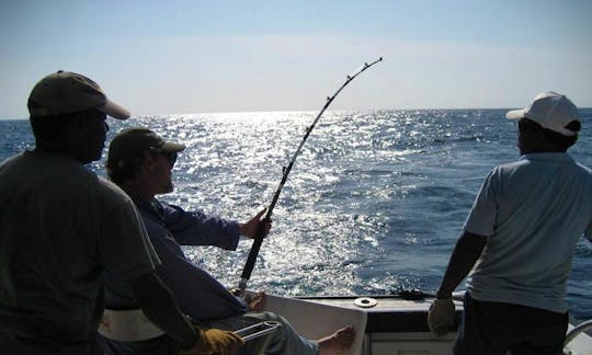 Fishing Charter for All Season in Malindi, Kenya