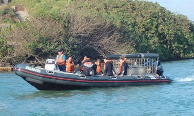 Venha e faça seu curso de mergulho PADI em Aliwal Shoal, Umkomaas, África do Sul