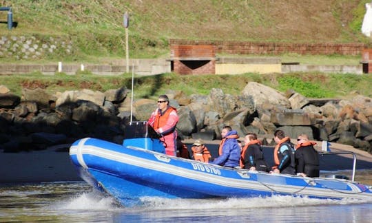 Shark Dive in Umkomaas