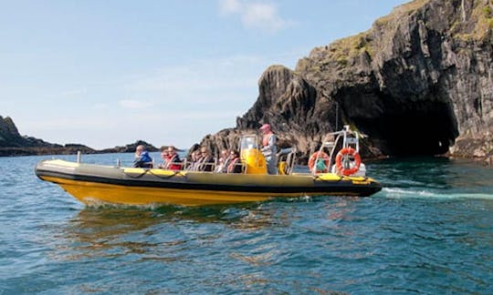 Dolphin Encountour Boat Charter in Mozambique, Ponta do Ouro