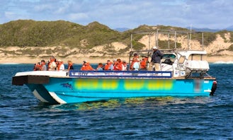 Passenger Boat Whale Watching Trips in Plettenberg Bay, South Africa