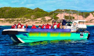 Whale & Dolphin Watching Boat Tours in Plettenberg Bay