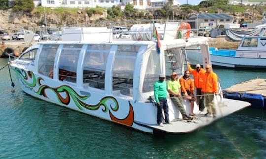 49' Whale Watching Trips in Hermanus, South Africa