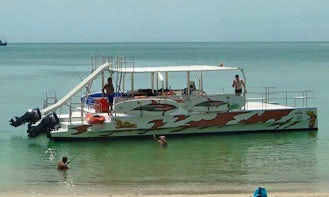 Twin-Engine Party Pontoon for 12 People in Ko Samui, Thailand