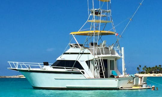 58' Striker Yacht Deep Sea Fishing  in Nassau