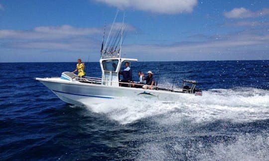 Enjoy Fishing in Struis Bay, Western Cape on a Power Catamaran