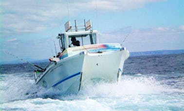 Disfrute de la pesca en la bahía de Struis, Cabo Occidental, en un catamarán a motor