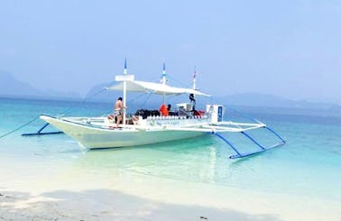 Diving Tour in Panglao Island, Philippines