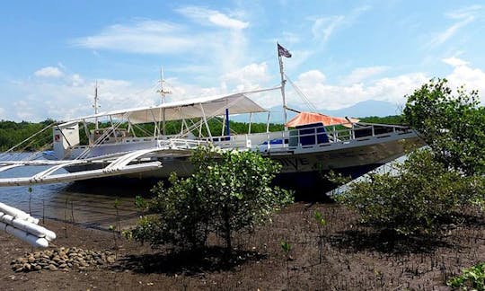 Boat Diving Trips in Dauin