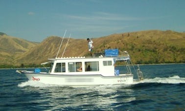 Discover Scuba Diving with Professional Guides in Olongapo, Philippines