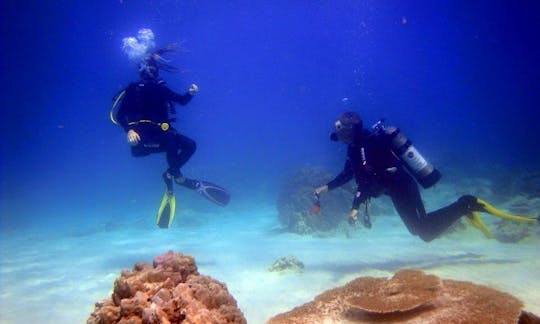 Diving Trips and Excursions in Nha Trang, Vietnam