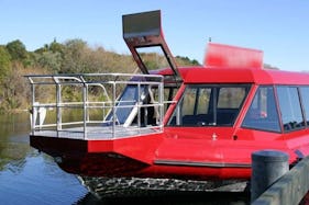 Passenger Boat Trips in Tauhara Forest, New Zealand