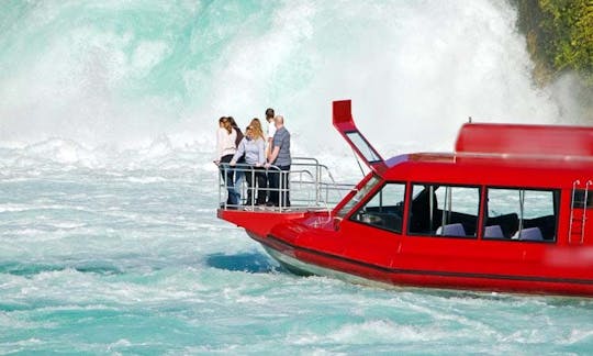 Passenger Boat Trips in Tauhara Forest, New Zealand