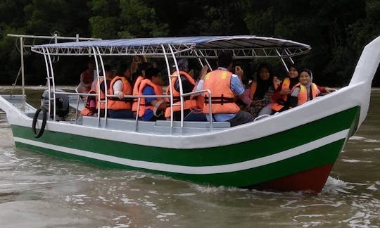 River Cruises in Taiping Perak, Malaysia