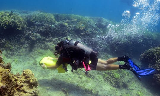 Disfruta de los cursos de buceo en Thanh pho Thai Nguyen, Vietnam