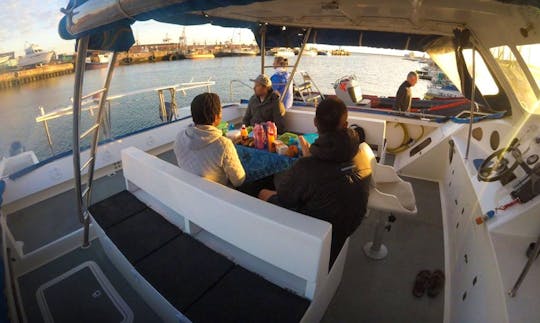 Enjoy Cruising in Port Elizabeth, South Africa on 38' Power Catamaran