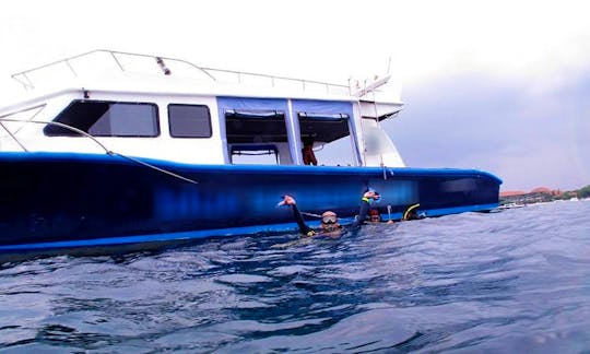 Experience the Amazing Underwater world of Denpasar Selatan, Indonesia