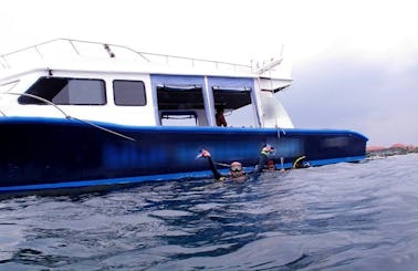 Experience the Amazing Underwater world of Denpasar Selatan, Indonesia