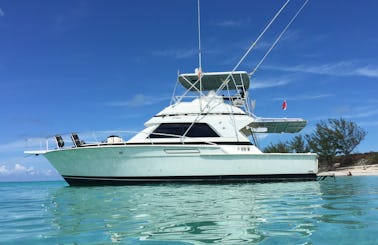 Snorkel w/ Turtles Adventure on 43' Bertram Motor Yacht in Nassau, New Providence