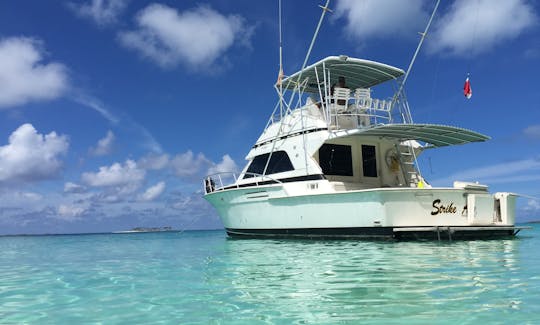 Pesca en alta mar en Bertram de 43 pies en Nassau, Bahamas