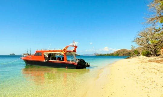 Dive Boat (Speedboat) Rental in Komodo