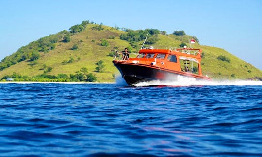 Dive Boat (Speedboat) Rental in Komodo